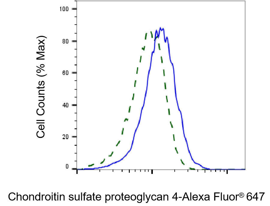 NG2/MCSP Antibody (23GB3470)