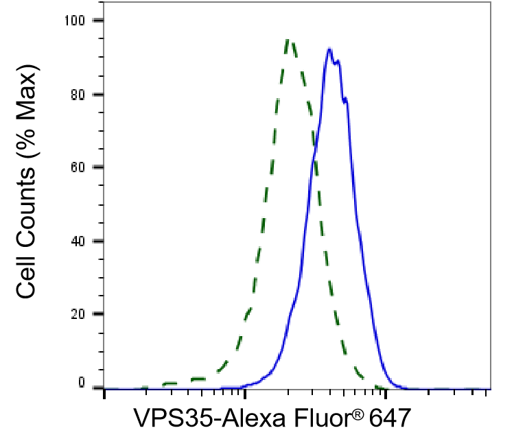 VPS35 Antibody (23GB4260)