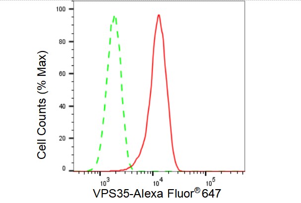 VPS35 Antibody (23GB4260)