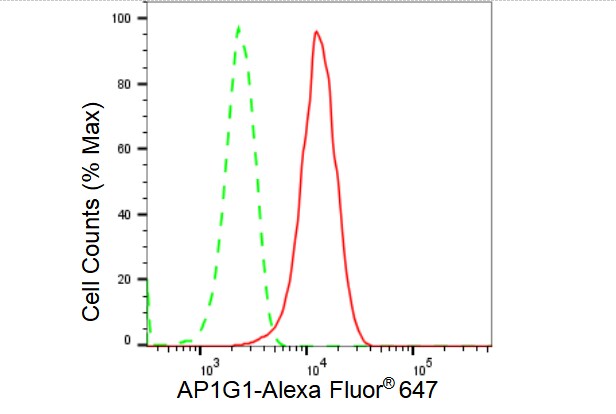 Gamma Adaptin Antibody (23GB3655)