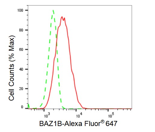 WSTF Antibody (23GB3685)