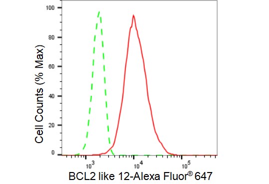 BCL2L12 Antibody (23GB3695)