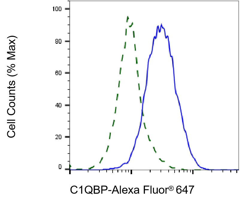 HABP1/C1QBP/GC1q R Antibody (23GB690)