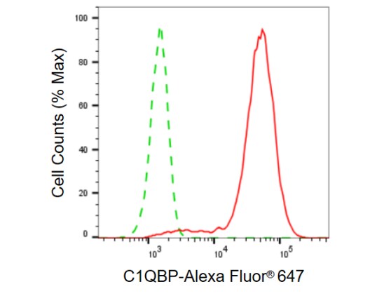 HABP1/C1QBP/GC1q R Antibody (23GB690)