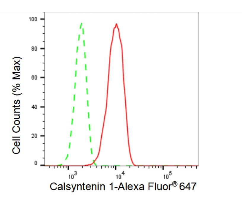 Calsyntenin-1 Antibody (23GB3725)