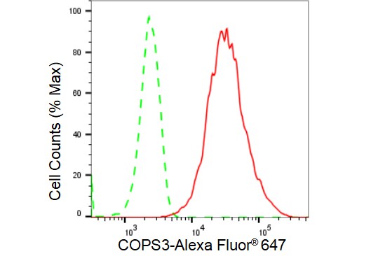 COP9 Antibody (23GB3780)