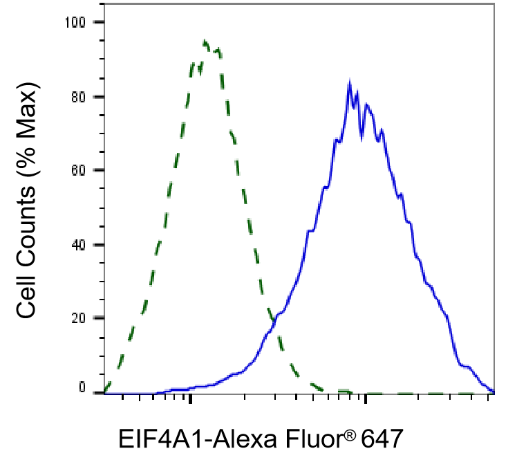 eIF4A1 Antibody (23GB3835)