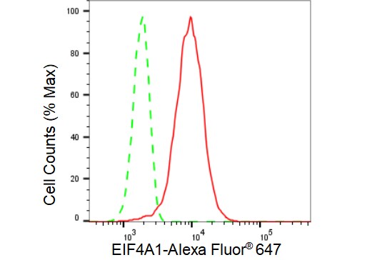 eIF4A1 Antibody (23GB3835)