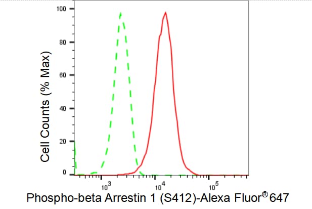 beta-Arrestin 1 [p Ser412] Antibody (23GB3845)
