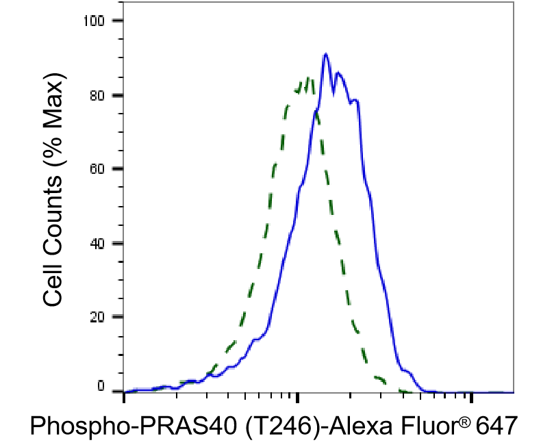 PRAS40 [p Thr246] Antibody (23GB3855)