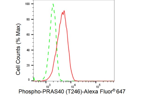 PRAS40 [p Thr246] Antibody (23GB3855)