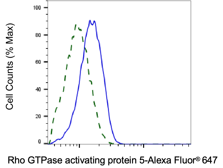 RhoGAP Antibody (23GB3860)