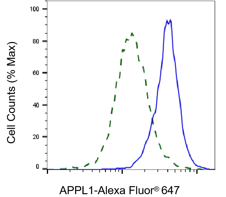 APPL Antibody (23GB1570)