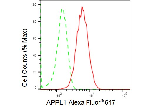 APPL Antibody (23GB1570)