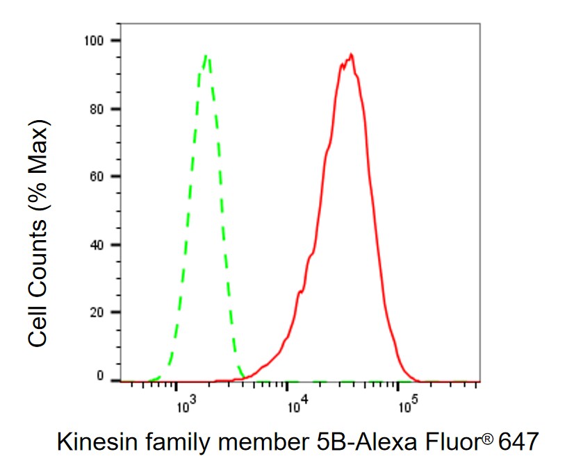 Kinesin 5B Antibody (23GB4030)