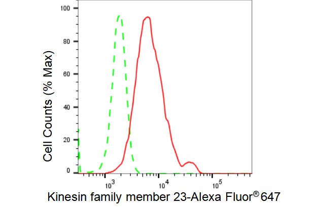MKLP1 Antibody (23GB4035)