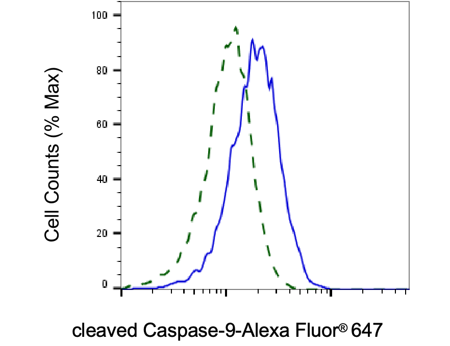 Caspase-9 Antibody (23GB725)