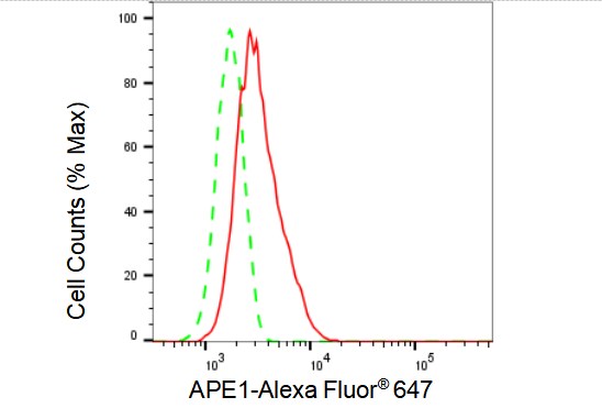 APE Antibody (23GB1220)