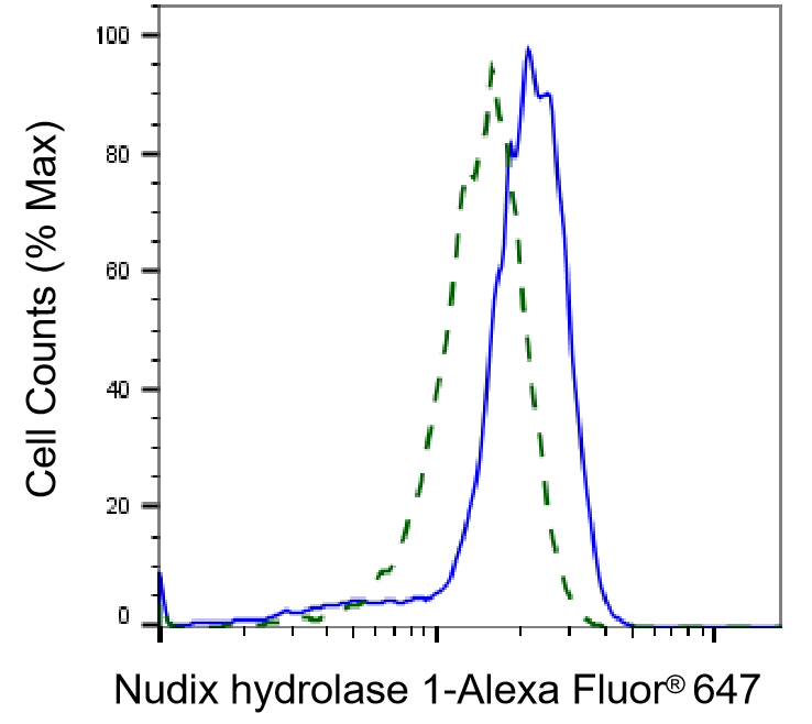MTH1 Antibody (23GB4060)