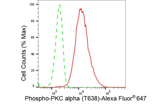PKC alpha [p Thr638] Antibody (23GB4100)