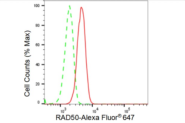 Rad50 Antibody (23GB4115)