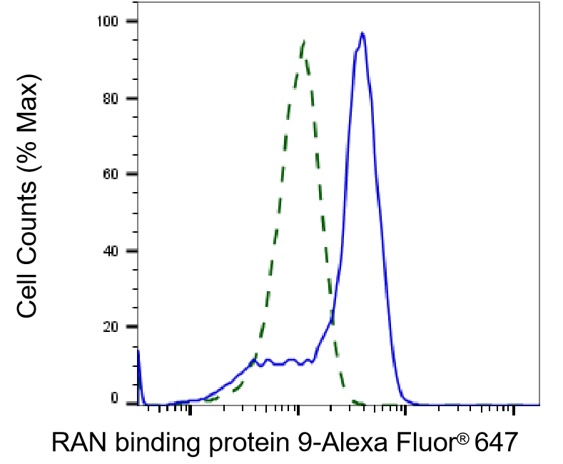 RANBP9 Antibody (23GB4120)