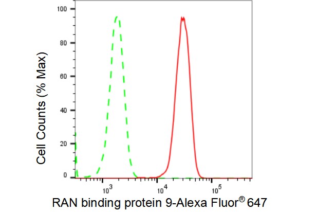 RANBP9 Antibody (23GB4120)