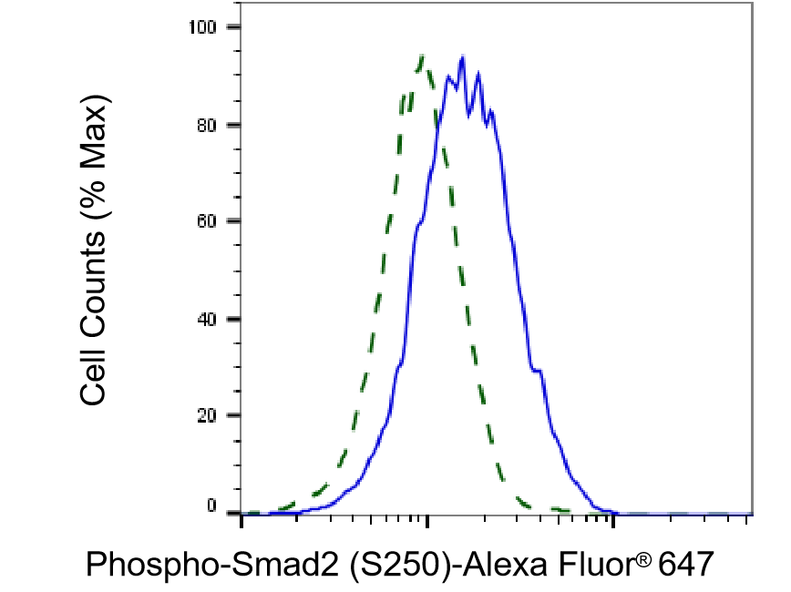 Smad2 [p Ser250] Antibody (23GB4150)