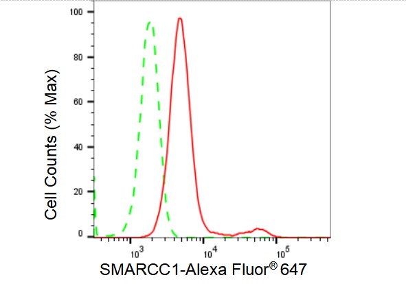 SMARCC1 Antibody (23GB4165)