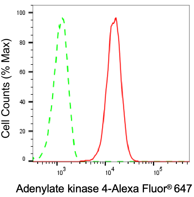 AK3L1 Antibody (23GB4755)