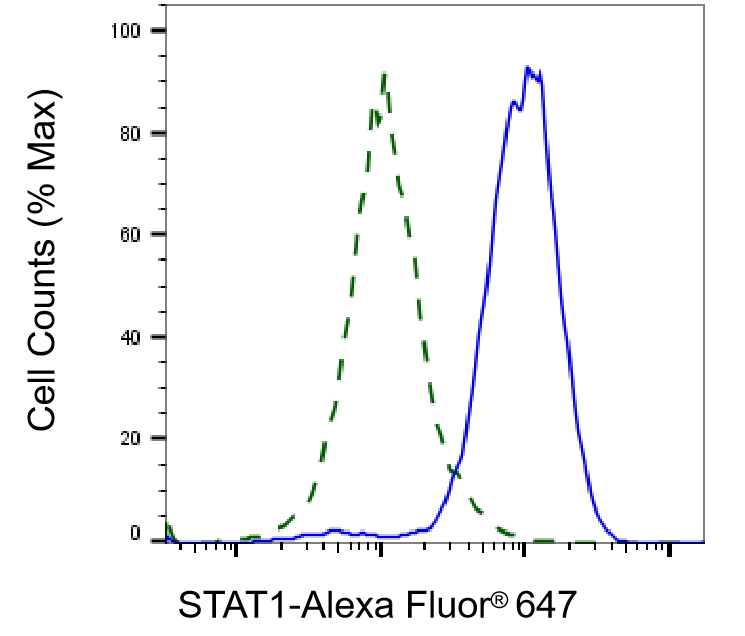 STAT1 Antibody (23GB4185)