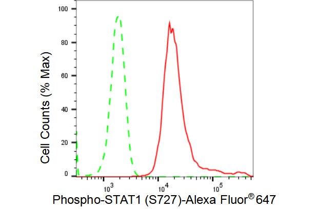STAT1 [p Ser727] Antibody (23GB4190)