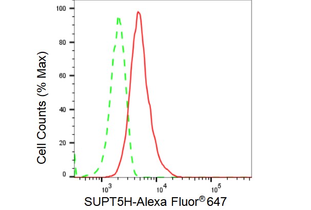 SUPT5H Antibody (23GB4220)