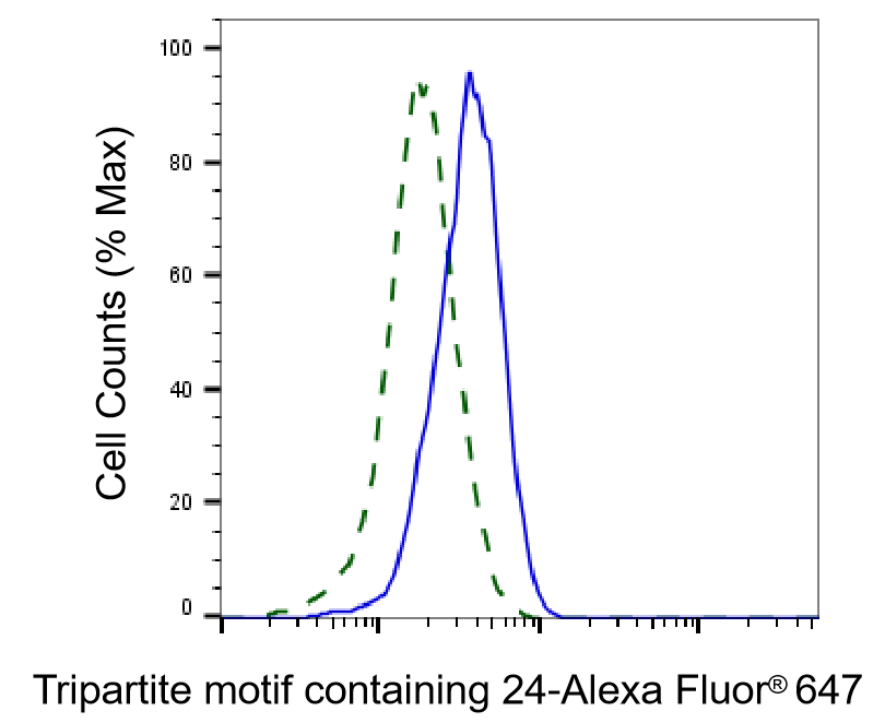 TIF1 alpha Antibody (23GB4235)