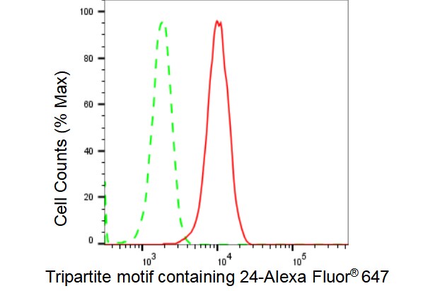 TIF1 alpha Antibody (23GB4235)