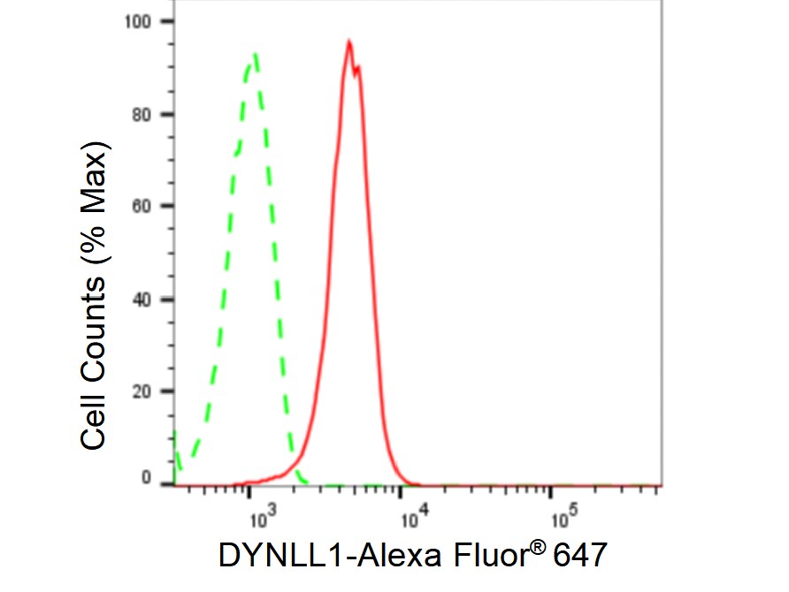 PIN/DLC8 Antibody (23GB5245)