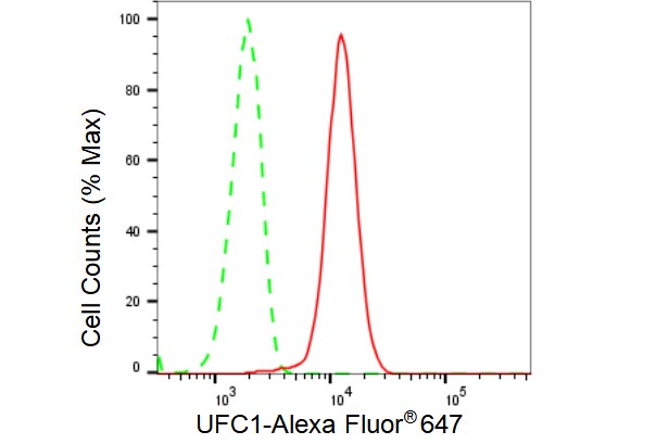 Ufc1 Antibody (23GB4245)
