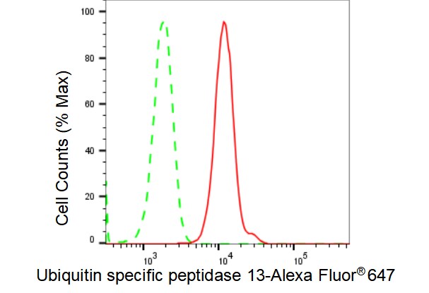 USP13 Antibody (23GB4250)