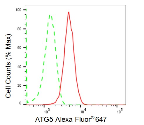 ATG5 Antibody (23GB1870)