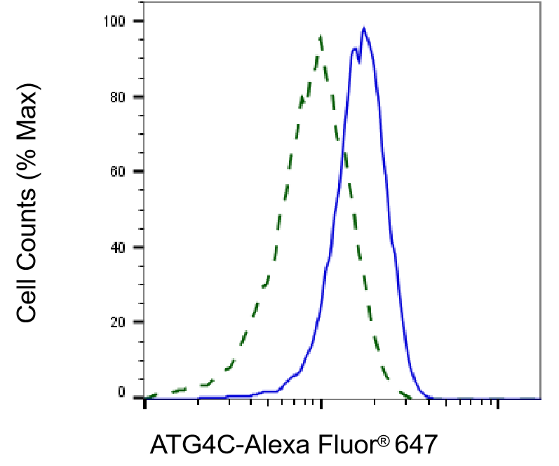 ATG4C Antibody (23GB670)