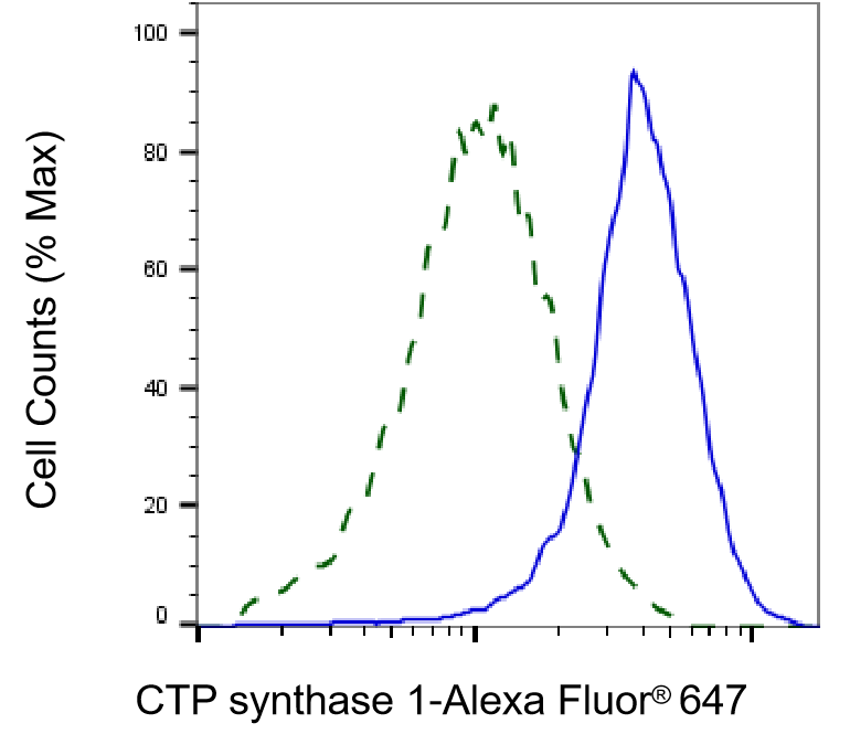 CTP synthase Antibody (23GB1685)