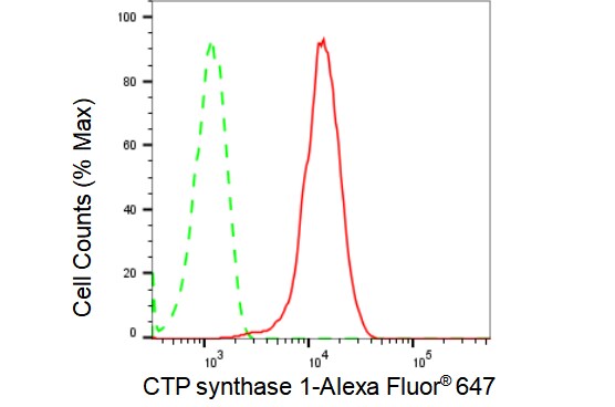 CTP synthase Antibody (23GB1685)
