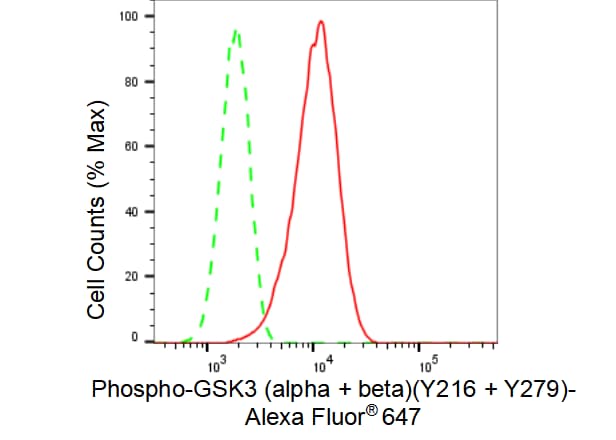 GSK-3 alpha/beta [p Tyr279] Antibody (23GB4380)
