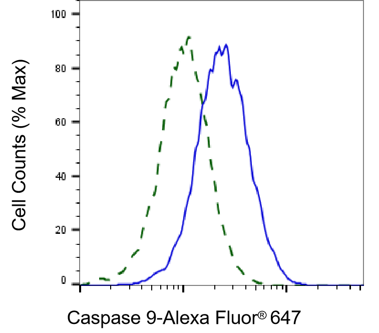 Caspase-9 Antibody (23GB1005)