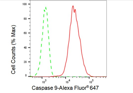 Caspase-9 Antibody (23GB1005)