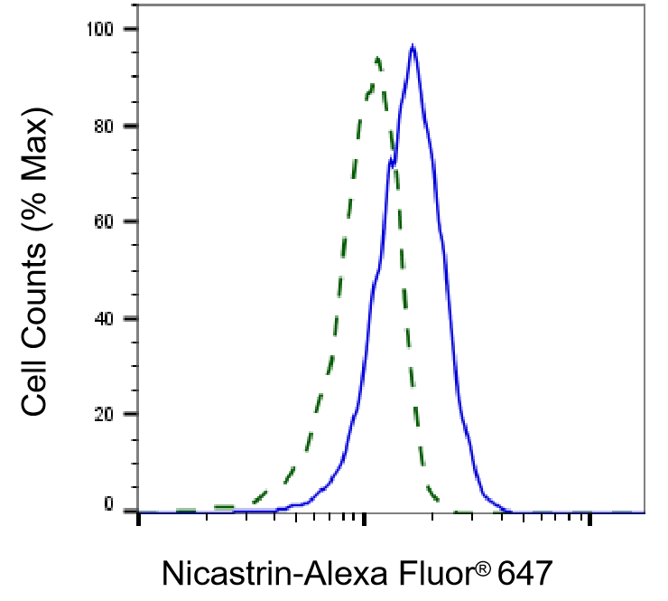 Nicastrin Antibody (23GB1040)
