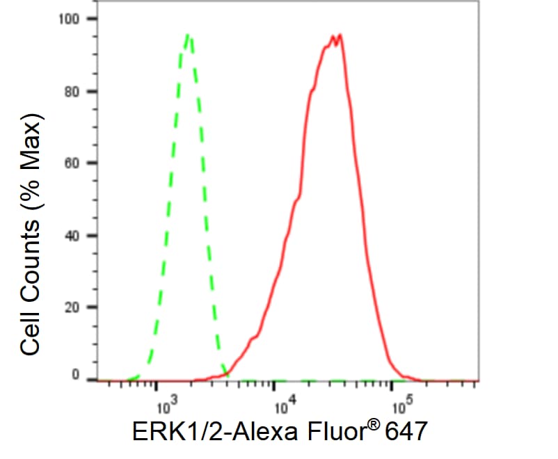 ERK1/2 Antibody (23GB4510)