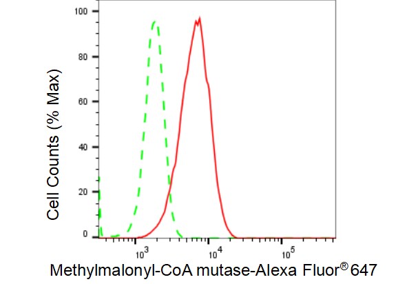 Methylmalonyl Coenzyme A mutase Antibody (23GB4555)