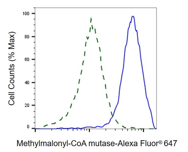 Methylmalonyl Coenzyme A mutase Antibody (23GB4555)