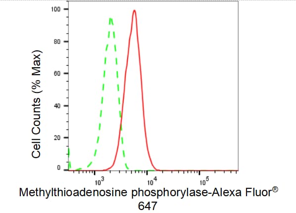 MTAP Antibody (23GB4560)
